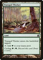 Tranquil Thicket - Commander 2011