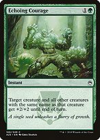 Echoing Courage - Masters 25