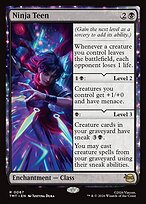 Ninja Teen - Teenage Mutant Ninja Turtles