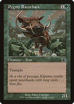 Pygmy Razorback - Prophecy