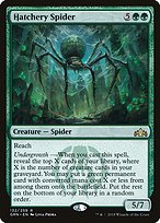 Hatchery Spider - Guilds of Ravnica