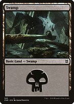 Swamp - Zendikar Rising