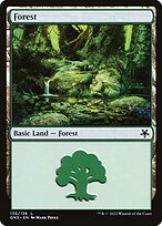 Forest - Game Night: Free-for-All