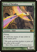 Birds of Paradise - Magic 2012