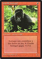 Gorille beringeï (Kird Ape) - Foreign Black Border