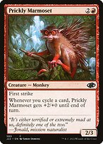Prickly Marmoset - Jumpstart 2022