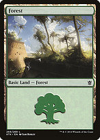 Forest - Khans of Tarkir