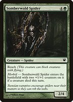 Somberwald Spider - Innistrad