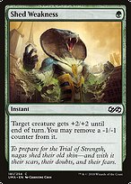 Shed Weakness - Ultimate Masters