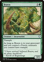 Brawn - Commander Anthology Volume II