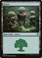 Forest - Dominaria United