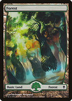 Forest - Zendikar