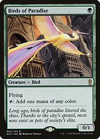 Birds of Paradise - RNA Guild Kit