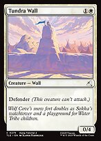 Tundra Wall - Avatar: The Last Airbender Eternal