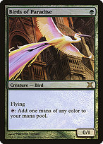 Birds of Paradise - Tenth Edition - Promo Foil