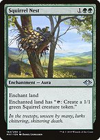 Squirrel Nest - Modern Horizons