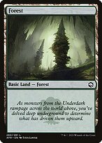 Forest - Adventures in the Forgotten Realms