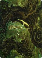 Neverwinter Dryad - Adventures in the Forgotten Realms Art Series - Borderless