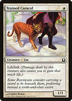 Trained Caracal - Return to Ravnica