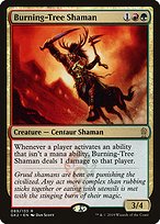 Burning-Tree Shaman - RNA Guild Kit