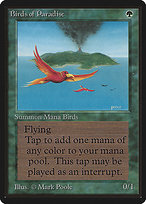 Birds of Paradise - Limited Edition Beta