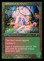 Sheltered Thicket - Secret Lair Drop