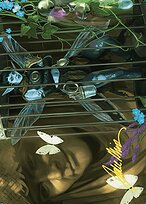 Cooped Up - Wilds of Eldraine Art Series - Borderless