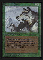 Aspect of Wolf - Collectors' Edition