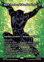 Black Panther, Wakandan King - Marvel Universe - Borderless