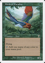 Birds of Paradise - Seventh Edition