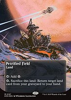Petrified Field - Edge of Eternities: Stellar Sights - Galaxy Foil, Borderless