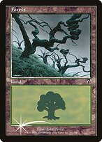Forest - Seventh Edition