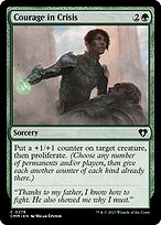 Courage in Crisis - Commander Masters