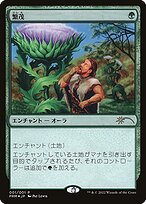 Wild Growth - Media and Collaboration Promos
