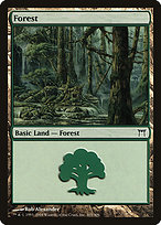 Forest - Champions of Kamigawa