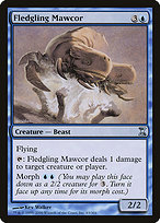 Fledgling Mawcor - Time Spiral