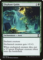 Elephant Guide - Eternal Masters