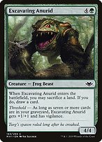 Excavating Anurid - Modern Horizons