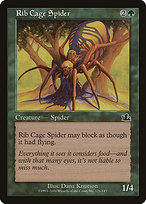 Rib Cage Spider - Prophecy