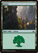 Forest - Guilds of Ravnica