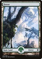 Forest - Zendikar Rising