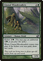 Citanul Woodreaders - Planar Chaos