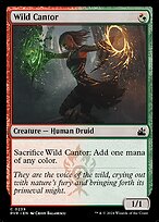 Wild Cantor - Ravnica Remastered