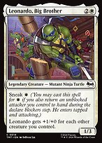 Leonardo, Big Brother - Teenage Mutant Ninja Turtles