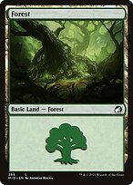 Forest - Innistrad: Midnight Hunt