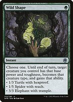 Wild Shape - Adventures in the Forgotten Realms