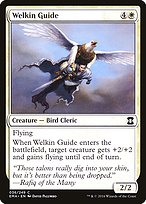 Welkin Guide - Eternal Masters