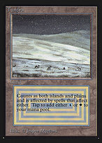 Tundra - Intl. Collectors' Edition