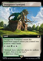 Overgrown Farmland - Doctor Who - Surge Foil